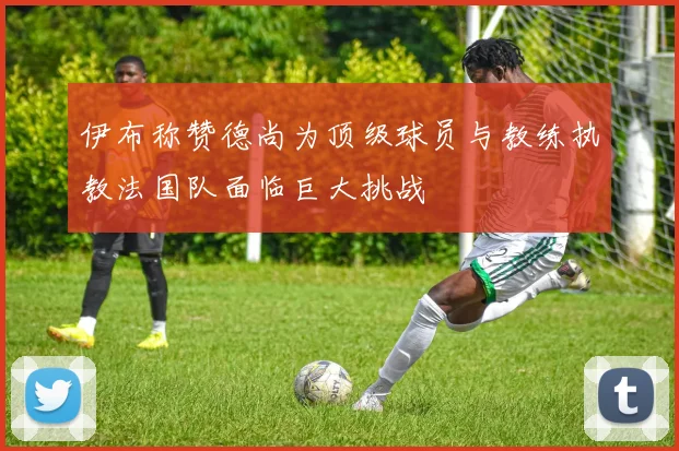 伊布称赞德尚为顶级球员与教练执教法国队面临巨大挑战